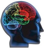 Preste atenção naquilo que você lê, vê ou ouve. Isso ajuda a exercitar o cérebro (Yakobchuk Vasyl/Shutterstock)
