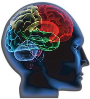 Doença compromete o sistema nervoso (Yakobchuk Vasyl/Shutterstock)
