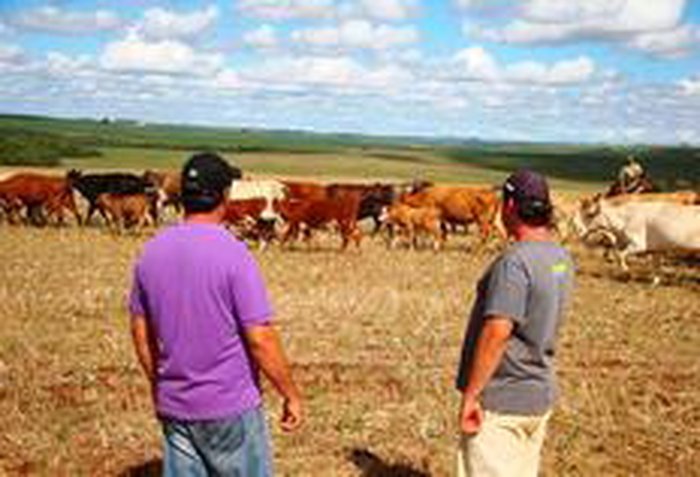 Roberto Witter / Agência RBS Roberto Witter / Agência RBS