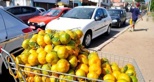 Produtos títpicos da época estão por todos os lados na Capital (Especial/Lívia Stumpf)