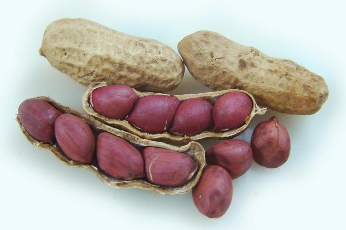 Stock.Xchng / Divulgação Stock.Xchng / Divulgação