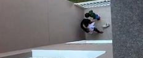 Vizinho registrou em vídeo a agressão realizada na sexta-feira passada (Reprodução/Reprodução)