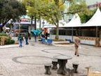 Estrutura na Praça João Costa, no Centro de Lages, receberá artistas locais e entidades beneficentes (Agencia RBS/Vani Boza)