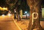 Ontem, havia um temor entre ambientalistas e acampados de que o corte pudesse ter início já na madrugada de hoje (Agência RBS/Diego Vara)