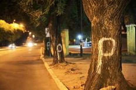 Ontem, havia um temor entre ambientalistas e acampados de que o corte pudesse ter início já na madrugada de hoje (Agência RBS/Diego Vara)