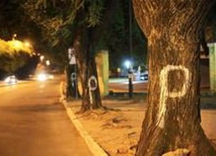 (Diego Vara/Agência RBS) (Diego Vara/Agência RBS)