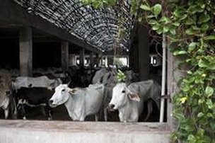 (Enrico Fabian/The New York Times)