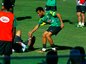 (Lauro Alves/Agência RBS)