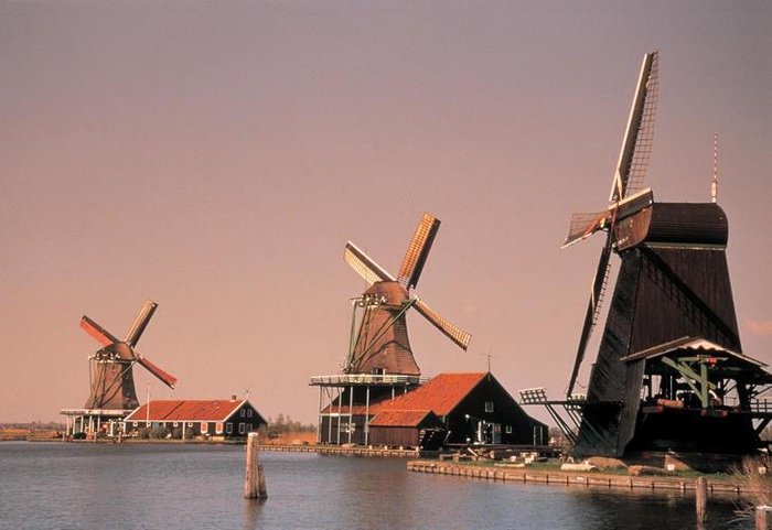 Divulgação / Holland Alliance Divulgação / Holland Alliance