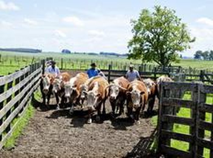 Adilson Oliveira Garcia / Especial Adilson Oliveira Garcia / Especial