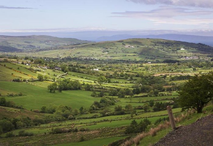 Hazel Thompson / NYTNS Hazel Thompson / NYTNS