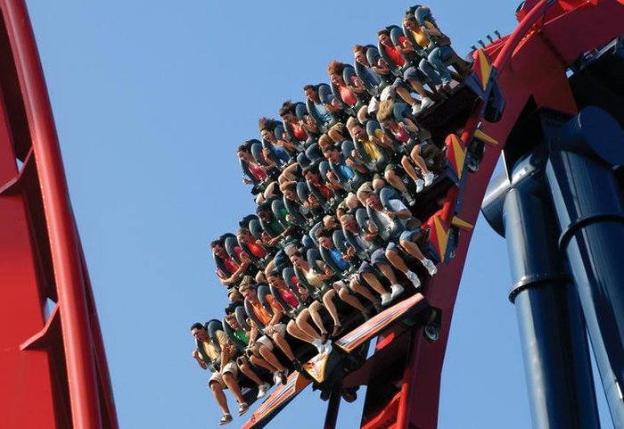 SeaWorld Parks & Entertainment / Divulgação SeaWorld Parks & Entertainment / Divulgação