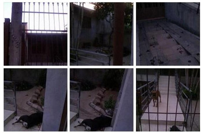 Reprodução / Facebook Reprodução / Facebook