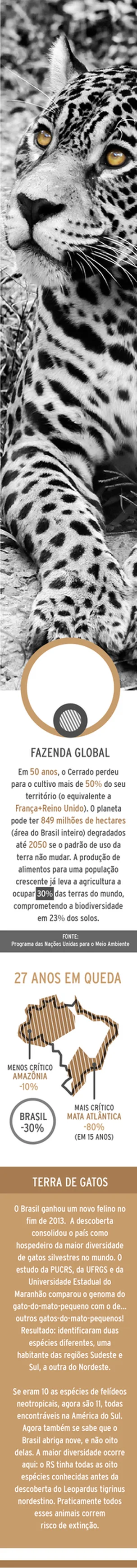 (Henrique Tramontina)
