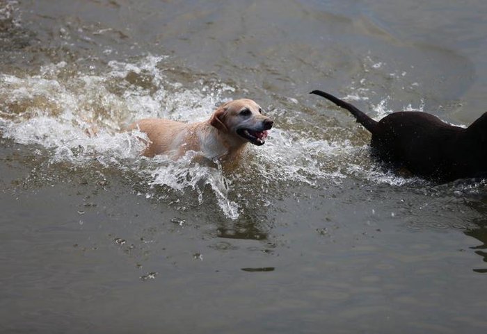 Anderson Fetter / Agencia RBS Anderson Fetter / Agencia RBS