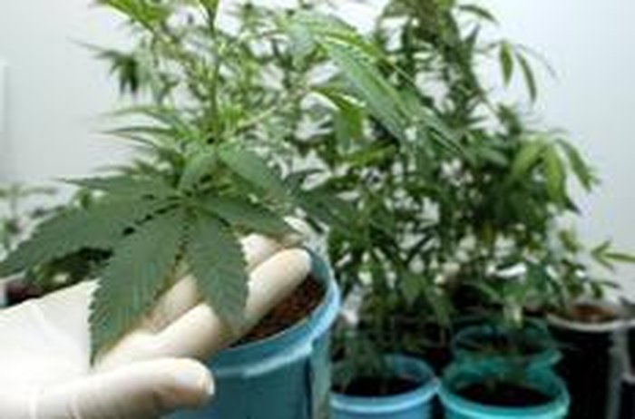 Flávio Neves / Agencia RBS Flávio Neves / Agencia RBS