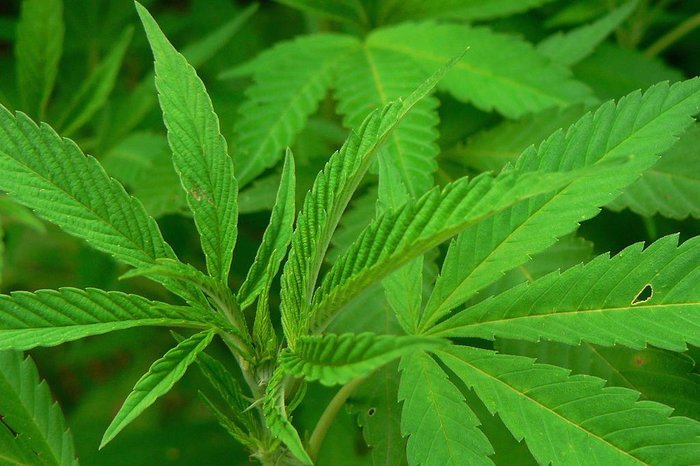 Vitezslav Valka / Stock.xchng Vitezslav Valka / Stock.xchng