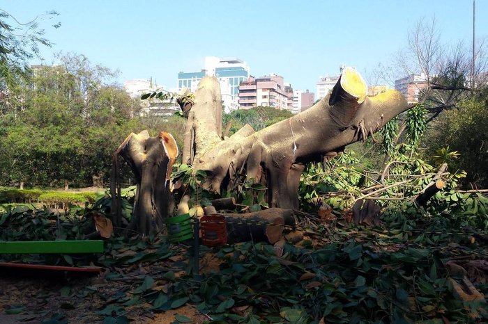 Rogenio Vidart / arquivo pessoal Rogenio Vidart / arquivo pessoal