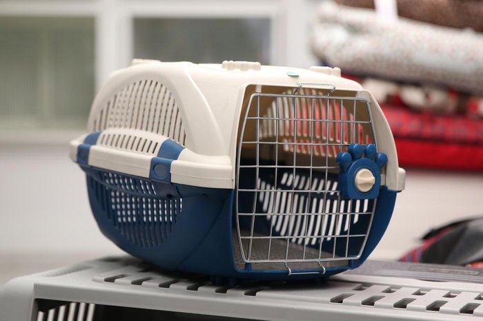 Diego Vara / Agencia RBS Diego Vara / Agencia RBS