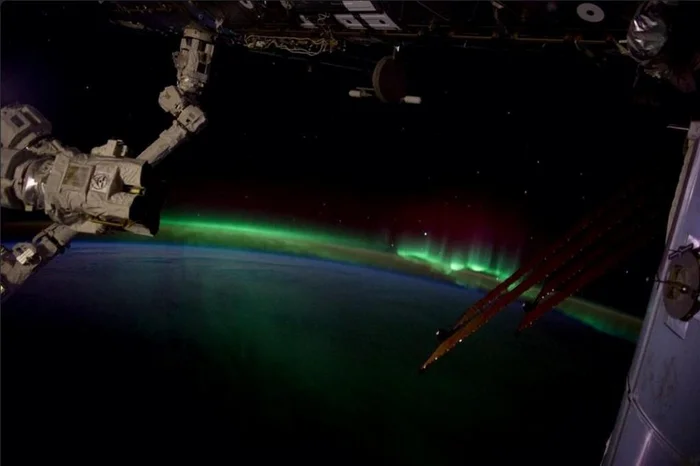 Reprodução / Twitter @astro_reid Reprodução / Twitter @astro_reid