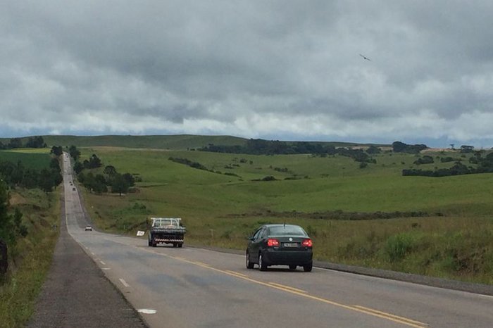 Raquel Fronza Raquel Fronza