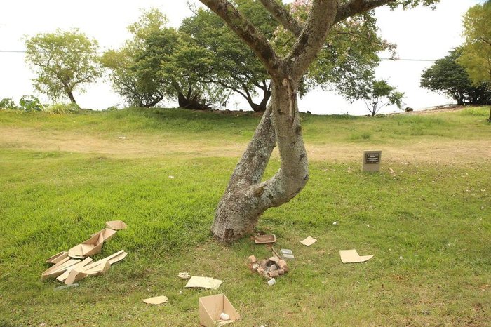 Júlio Cordeiro / Agencia RBS Júlio Cordeiro / Agencia RBS