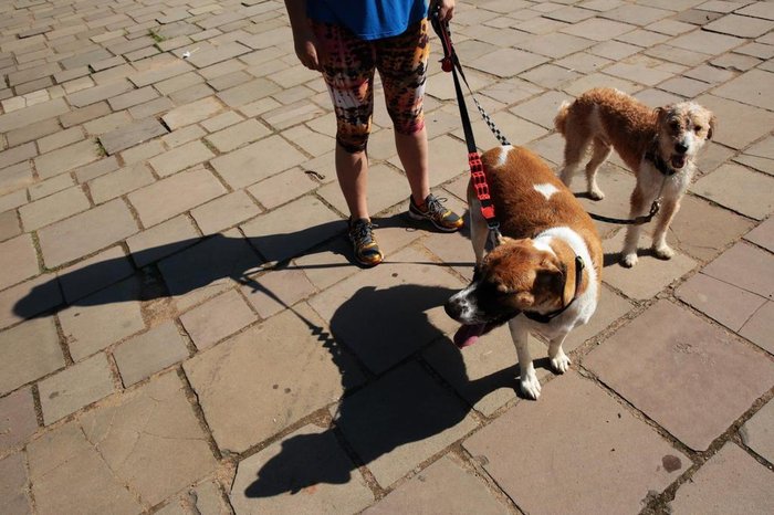 Carlos Macedo / Agencia RBS Carlos Macedo / Agencia RBS