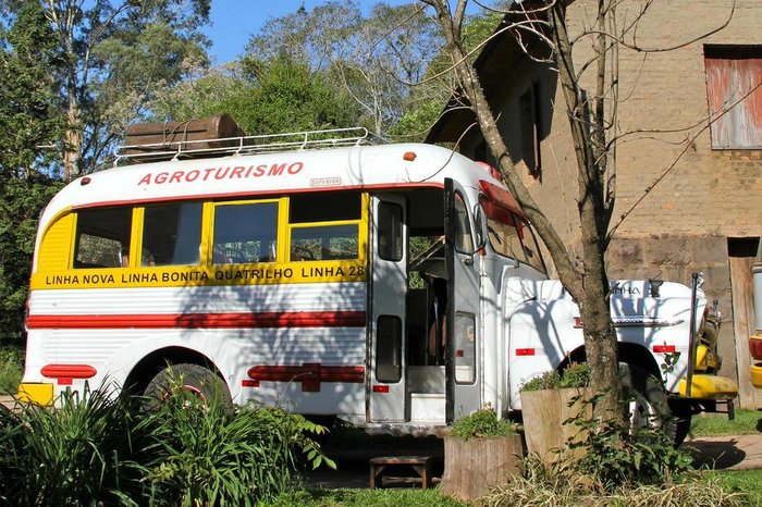 Alexandra Aranovich / Arquivo Pessoal Alexandra Aranovich / Arquivo Pessoal