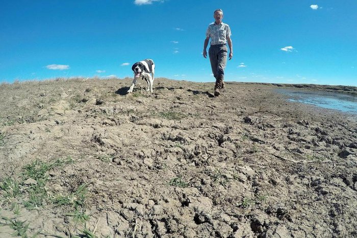 Tadeu Vilani / Agencia RBS Tadeu Vilani / Agencia RBS