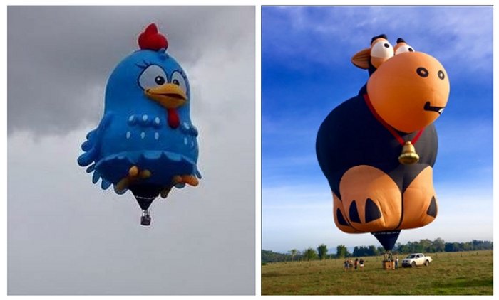 Lasier França, blog Balonismo, e Francisco Naccarato, arquivo pessoal / null Lasier França, blog Balonismo, e Francisco Naccarato, arquivo pessoal / null