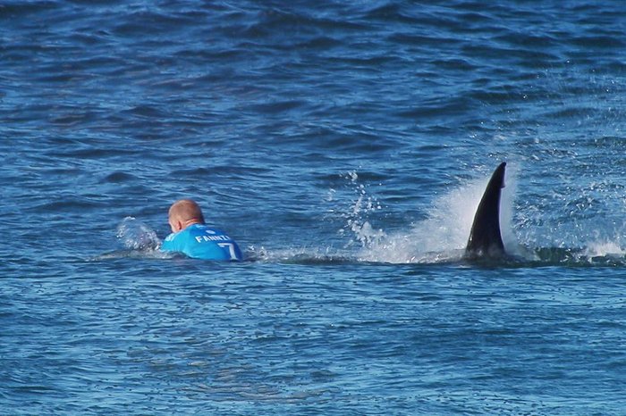 AFP PHOTO / WSL AFP PHOTO / WSL