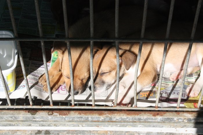 Bruna Pacheco / Prefeitura de Novo Hamburgo Bruna Pacheco / Prefeitura de Novo Hamburgo