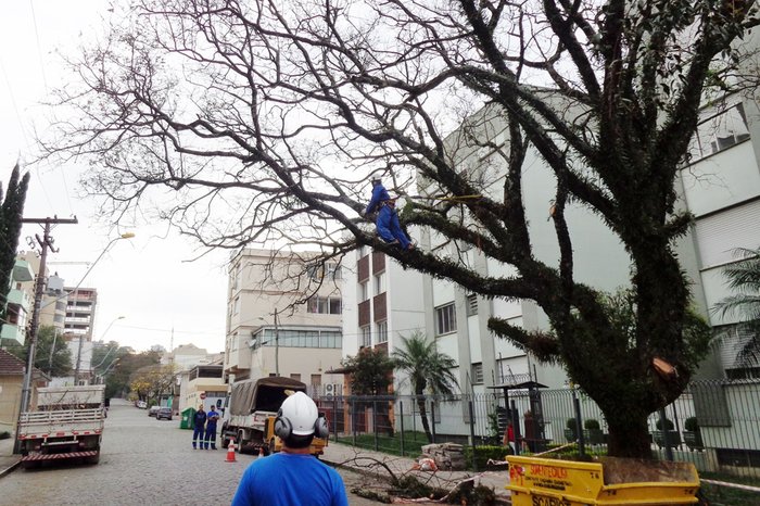 Cláudia de Lucena / Divulgação Cláudia de Lucena / Divulgação