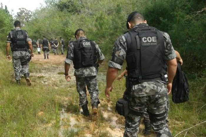 Divulgação / Divulgação Divulgação / Divulgação