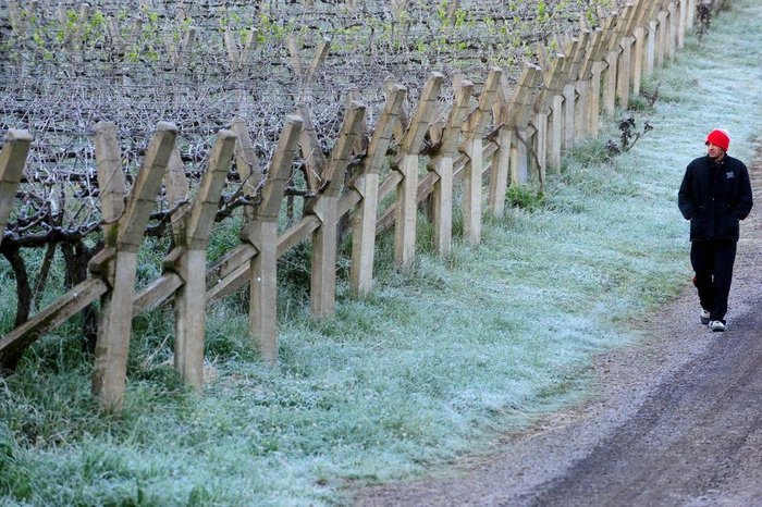 Roni Rigon / Agencia RBS Roni Rigon / Agencia RBS