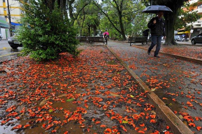 Germano Rorato / Agencia RBS Germano Rorato / Agencia RBS