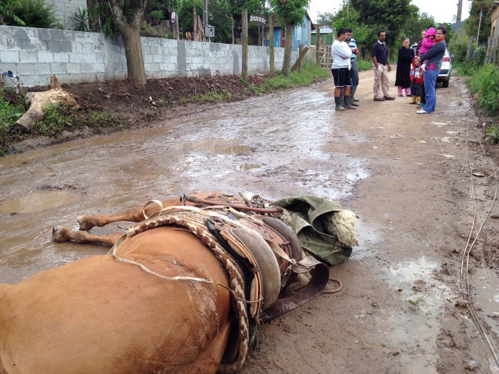 Cláudio Vaz / Agência RBS Cláudio Vaz / Agência RBS