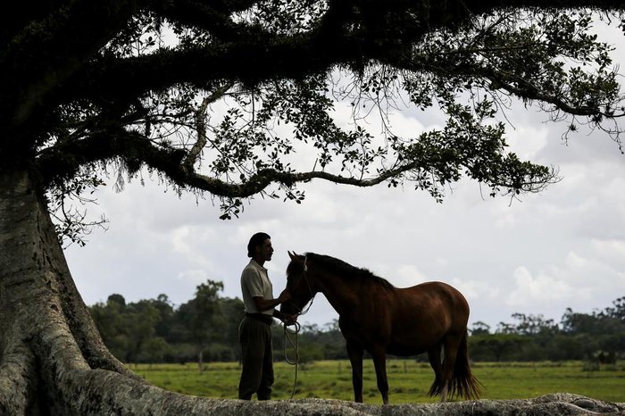 Mateus Bruxel / Agencia RBS Mateus Bruxel / Agencia RBS