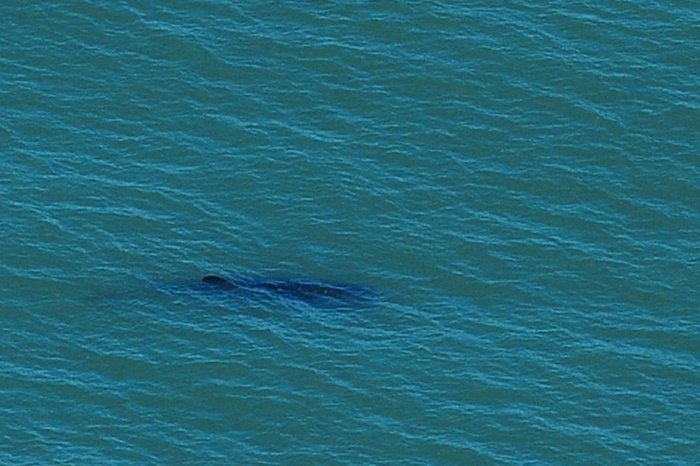 Bruno Alencastro / Agencia RBS Bruno Alencastro / Agencia RBS