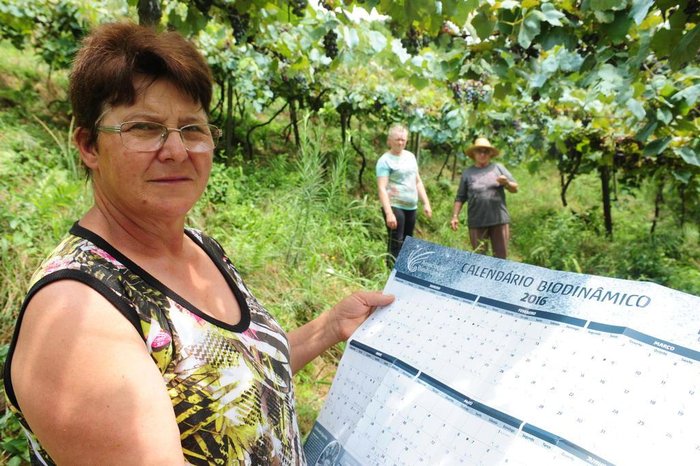 Roni Rigon / Agencia RBS Roni Rigon / Agencia RBS