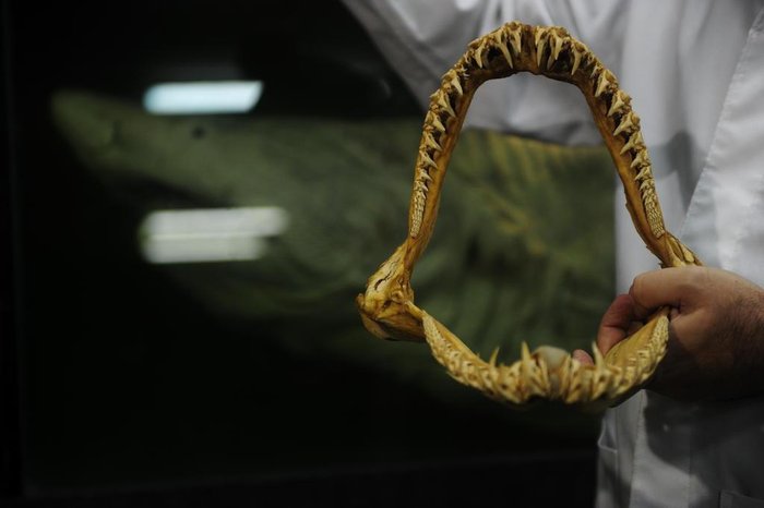 Lucas Correia / Agência RBS Lucas Correia / Agência RBS