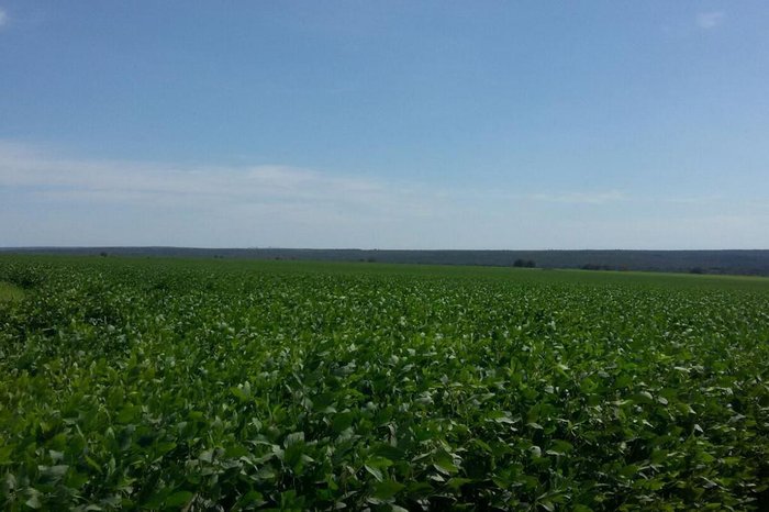 Divulgação / Dow AgroSciences Divulgação / Dow AgroSciences