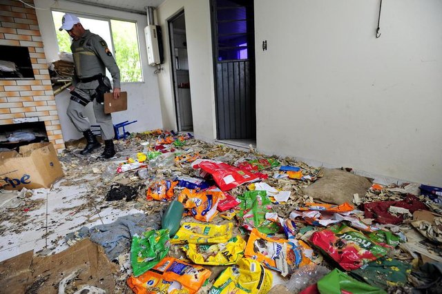  SANTA MARIA, RS, BRASIL, 14/09/2016 - Mais de 20 corpos de c&atilde;es foram encontrados mortos por abandono em uma casa de Santa Maria. (FOTO MAIARA BERSCH / AG&Ecirc;NCIA RBS)