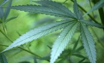 (OLIVER BERG/AFP/DPA)