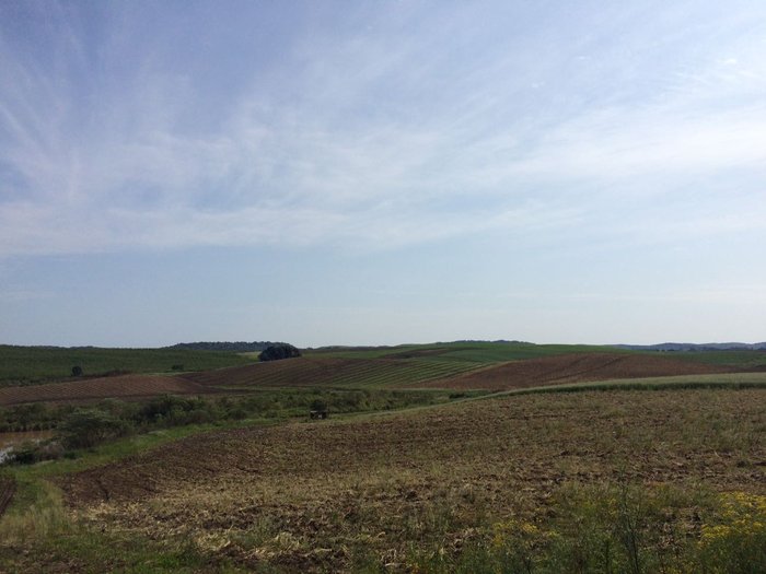 André Fiedler / Gaúcha Serra André Fiedler / Gaúcha Serra