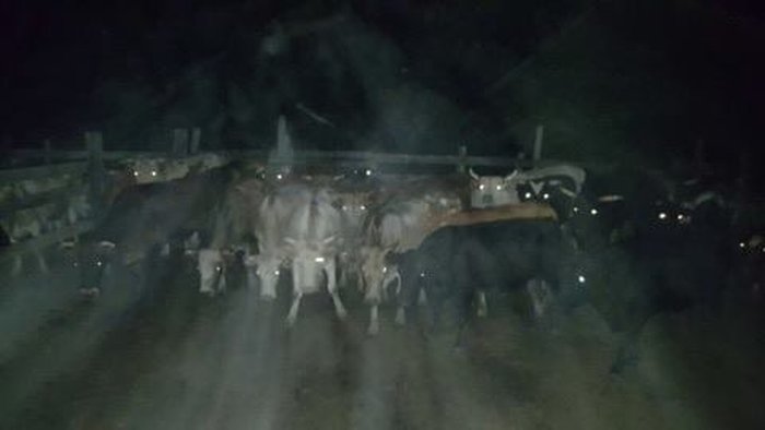 BM / divulgação BM / divulgação