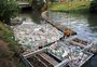 Ecobarreira já recolheu mais de 500 toneladas de lixo do Arroio Dilúvio