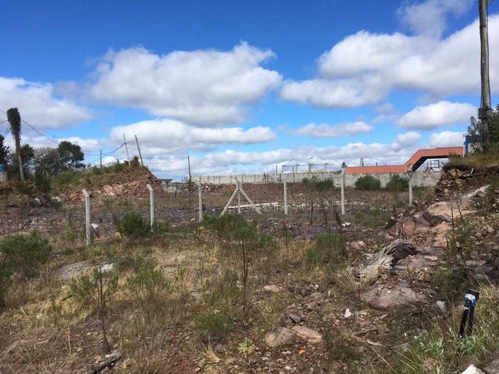 Suelen Mapelli / Divulgação Suelen Mapelli / Divulgação