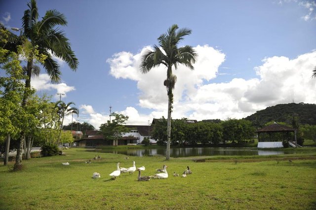 Na foto problemas de conservação no parque da Expoville. Na foto antigo restaurante. Na foto problemas de conservação no parque da Expoville. Na foto antigo restaurante.