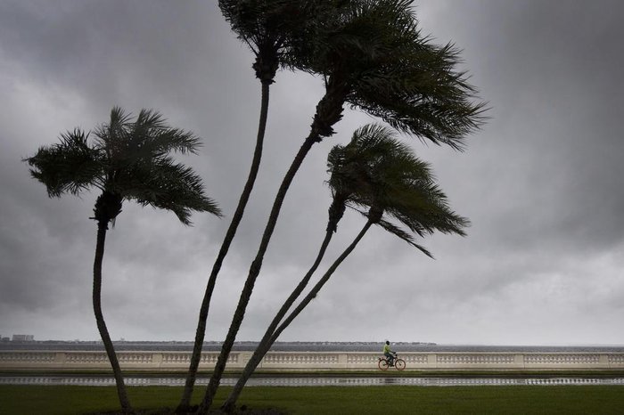 Hurricane Irma hits the Caribbean and Florida
A man rides his bike on Bayshore Boulevard as palm trees begin to feel the wind in Tampa, Florida, on September 10, 2017, where Tampa residents are fleeing the evacuation zones ahead of Hurricane Irmas landfall.
Hurricane Irma regained strength to a Category 4 storm early Sunday as it began pummeling Florida and threatening landfall within hours. / AFP PHOTO / JIM WATSON
Editoria: WEA
Local: Tampa
Indexador: JIM WATSON
Secao: disaster (general)
Fonte: AFP
Fotógrafo: STF Hurricane Irma hits the Caribbean and Florida
A man rides his bike on Bayshore Boulevard as palm trees begin to feel the wind in Tampa, Florida, on September 10, 2017, where Tampa residents are fleeing the evacuation zones ahead of Hurricane Irmas landfall.
Hurricane Irma regained strength to a Category 4 storm early Sunday as it began pummeling Florida and threatening landfall within hours. / AFP PHOTO / JIM WATSON
Editoria: WEA
Local: Tampa
Indexador: JIM WATSON
Secao: disaster (general)
Fonte: AFP
Fotógrafo: STF